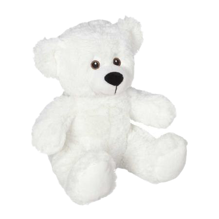 เท็ดดี้หมีสีขาวภาพถ่าย PNG