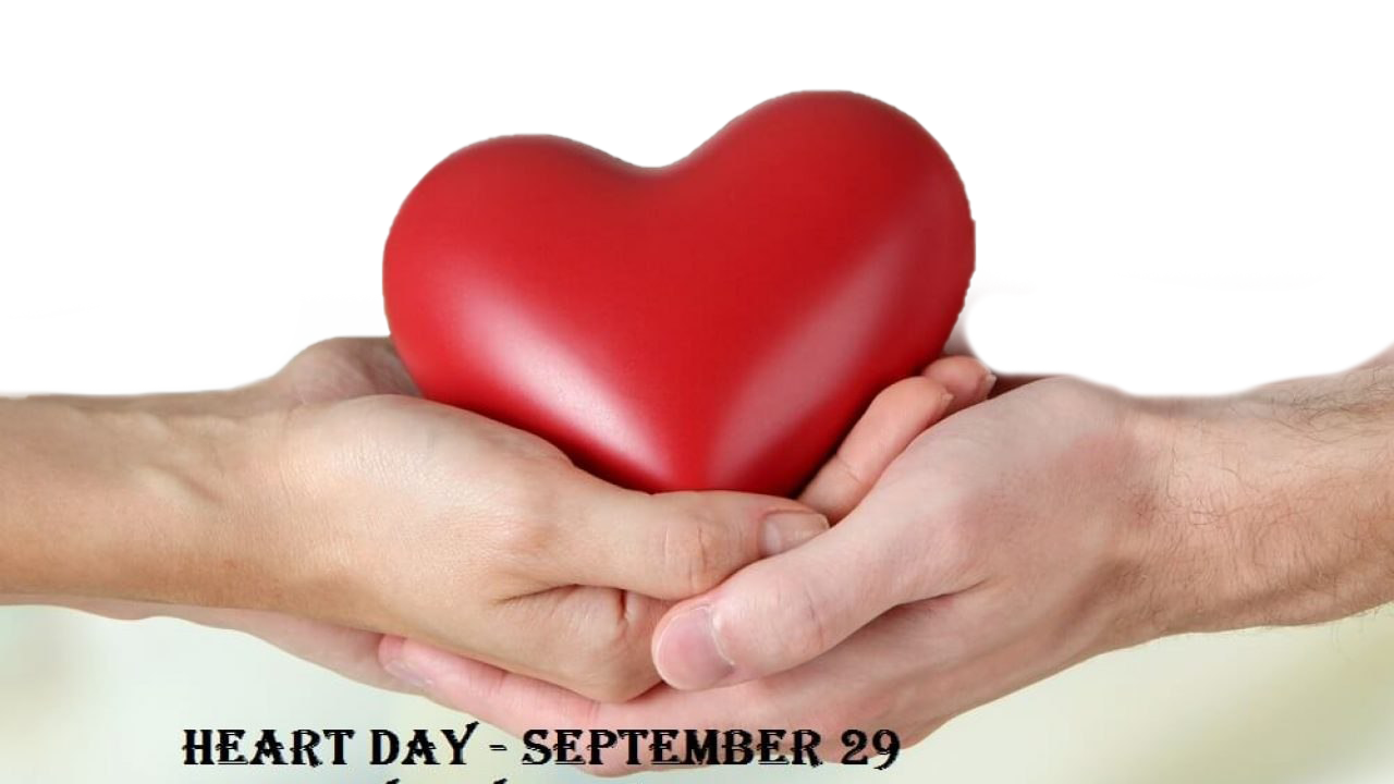يوم العالم القلب PNG