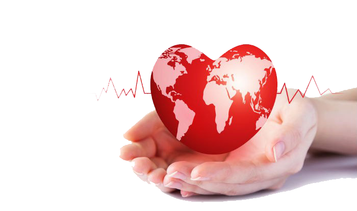 World Heart Day Transparent Background