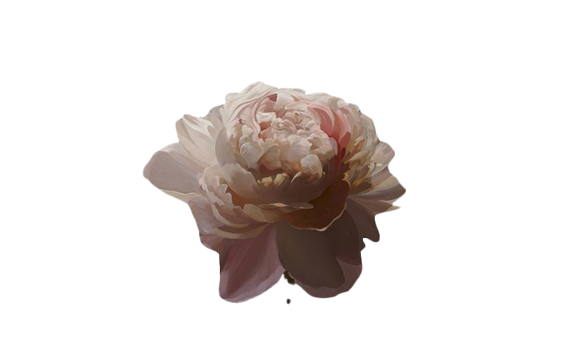 Aesthetic Flower Art PNG Transparent Image
