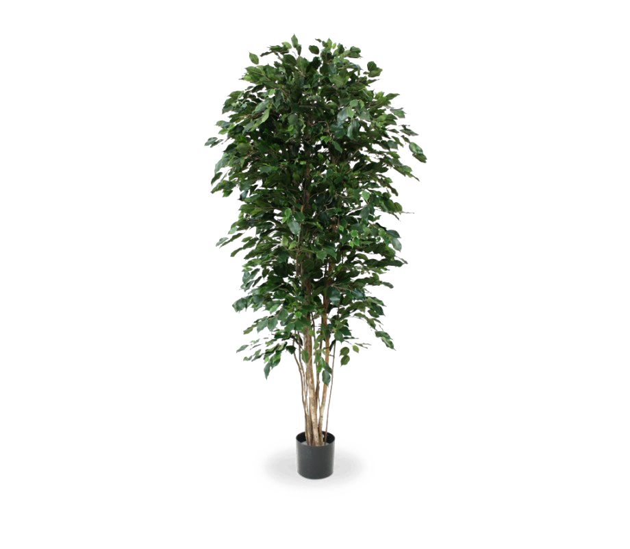Artificial Tree PNG File