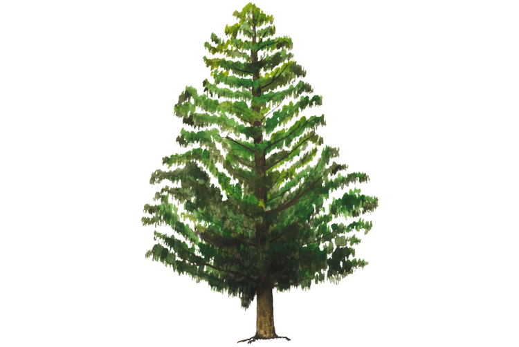 Artificial Tree PNG Transparent Image