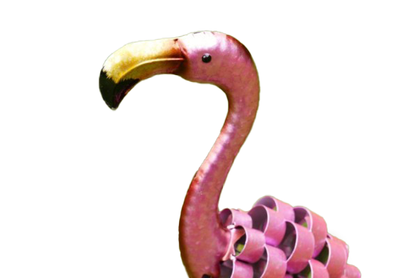 Baby Flamingo PNG Transparent Image