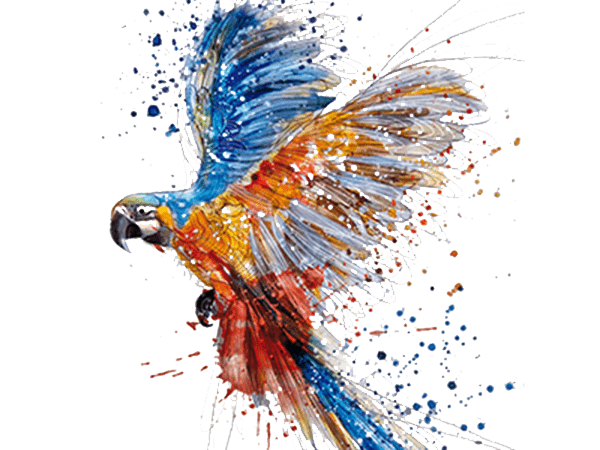 Bird Watercolor Art PNG Photos