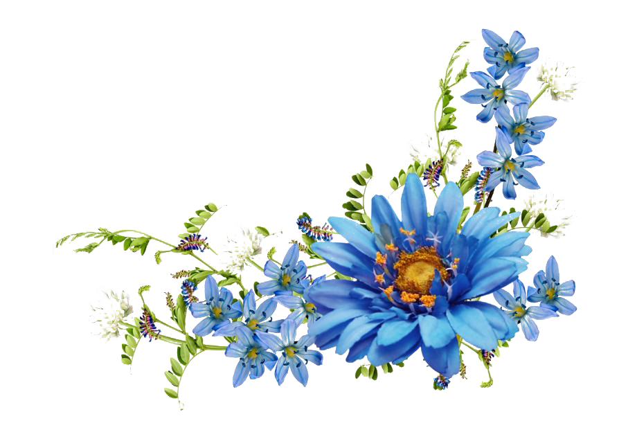 Fotos de PNG florais azuis