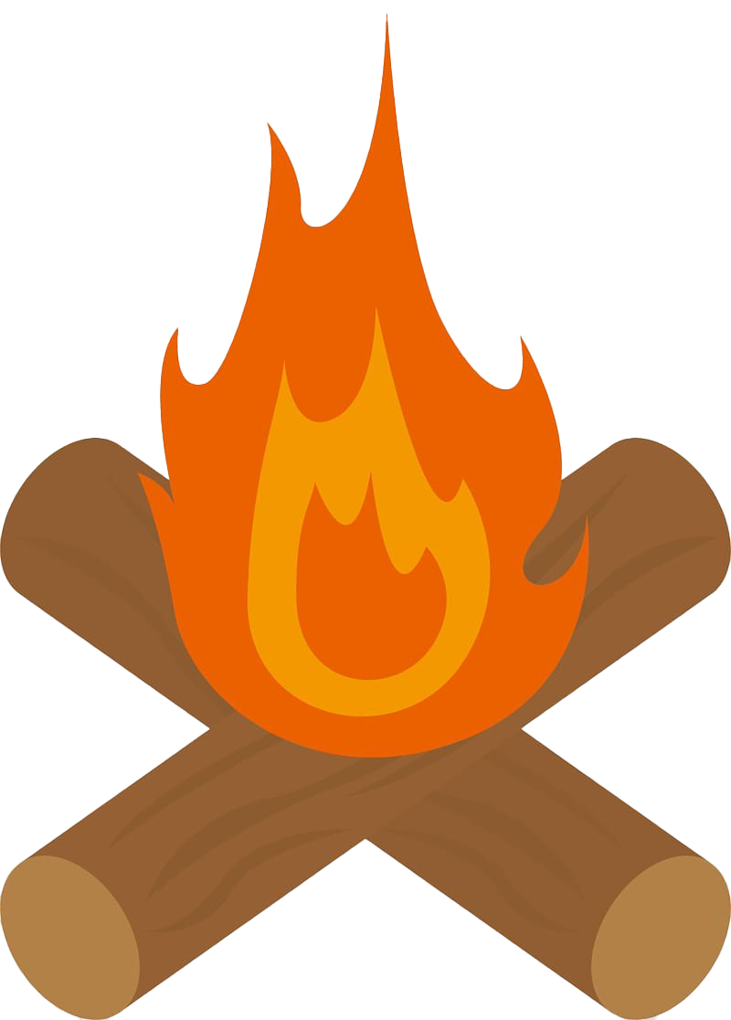 Burning Firewood PNG Image