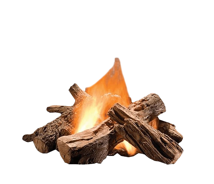Burning Firewood Transparent PNG