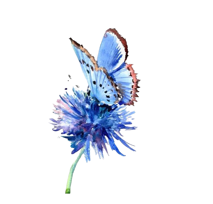 Butterfly Watercolor Art PNG File