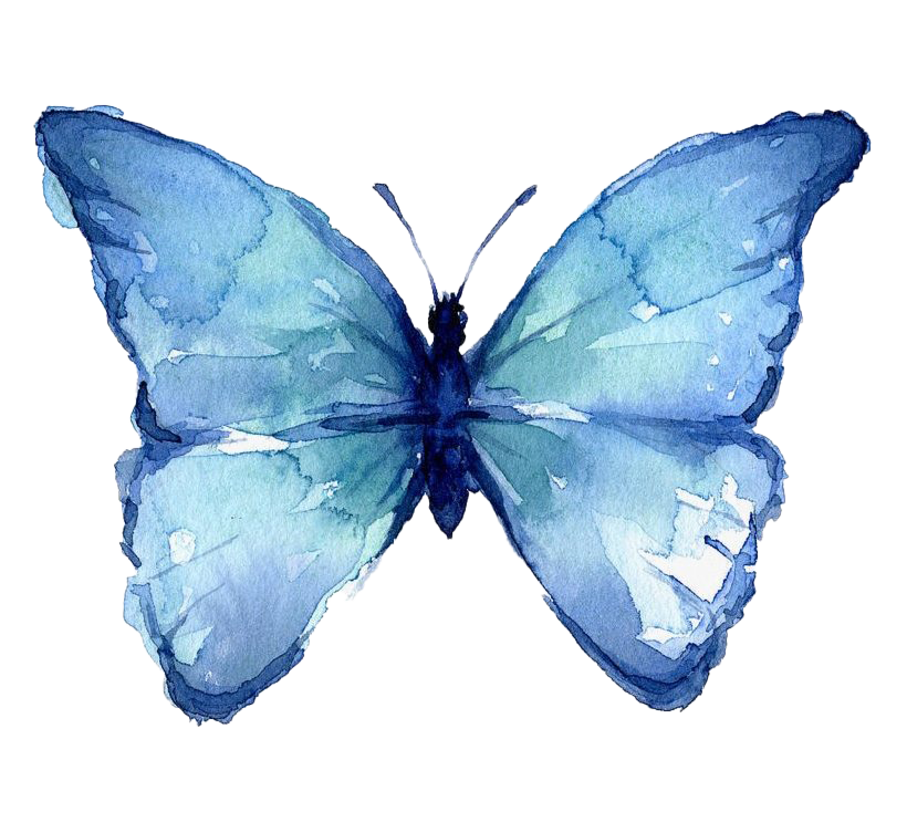 Butterfly Watercolor Art PNG Photos