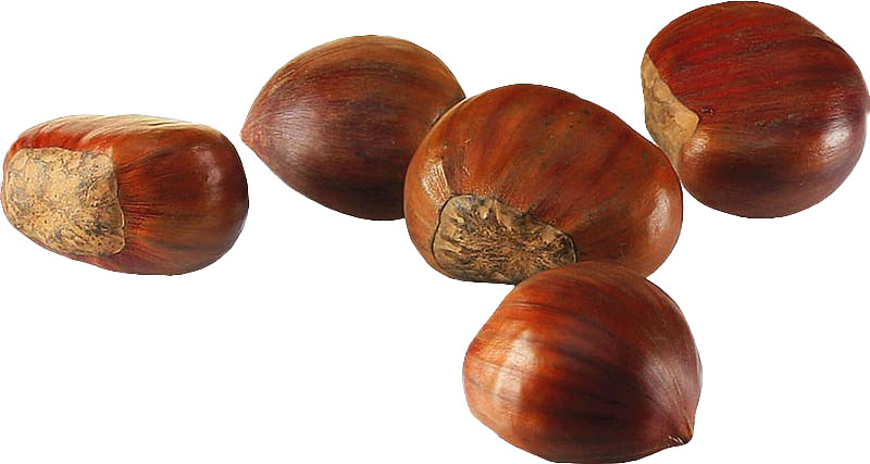 Chestnuts PNG Transparent Image
