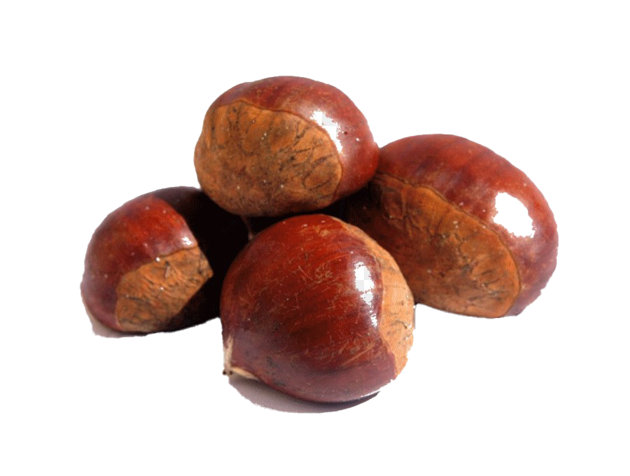 Chestnuts Transparent Images PNG