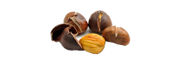 Chestnuts Transparent PNG