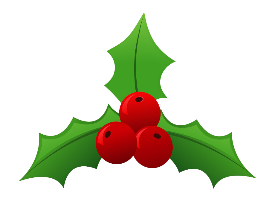 Christmas Mistletoe PNG File