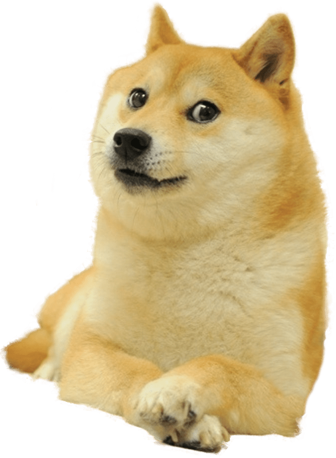 Doge Meme PNG Free Download PNG Mart