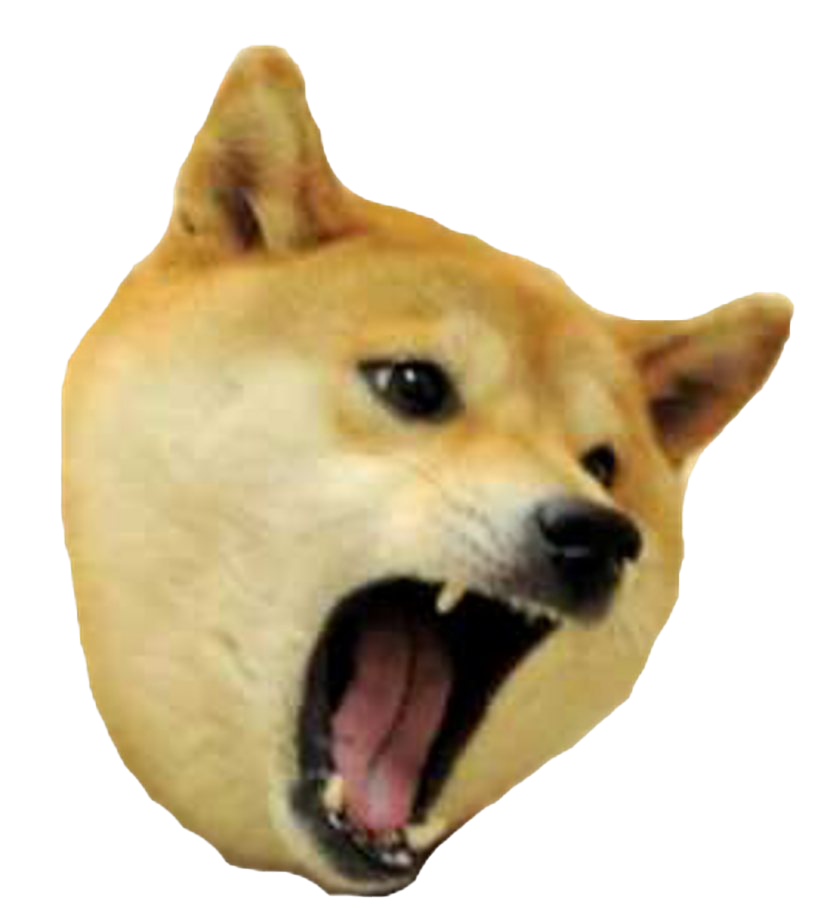 Doge Meme PNG Picture | PNG Mart