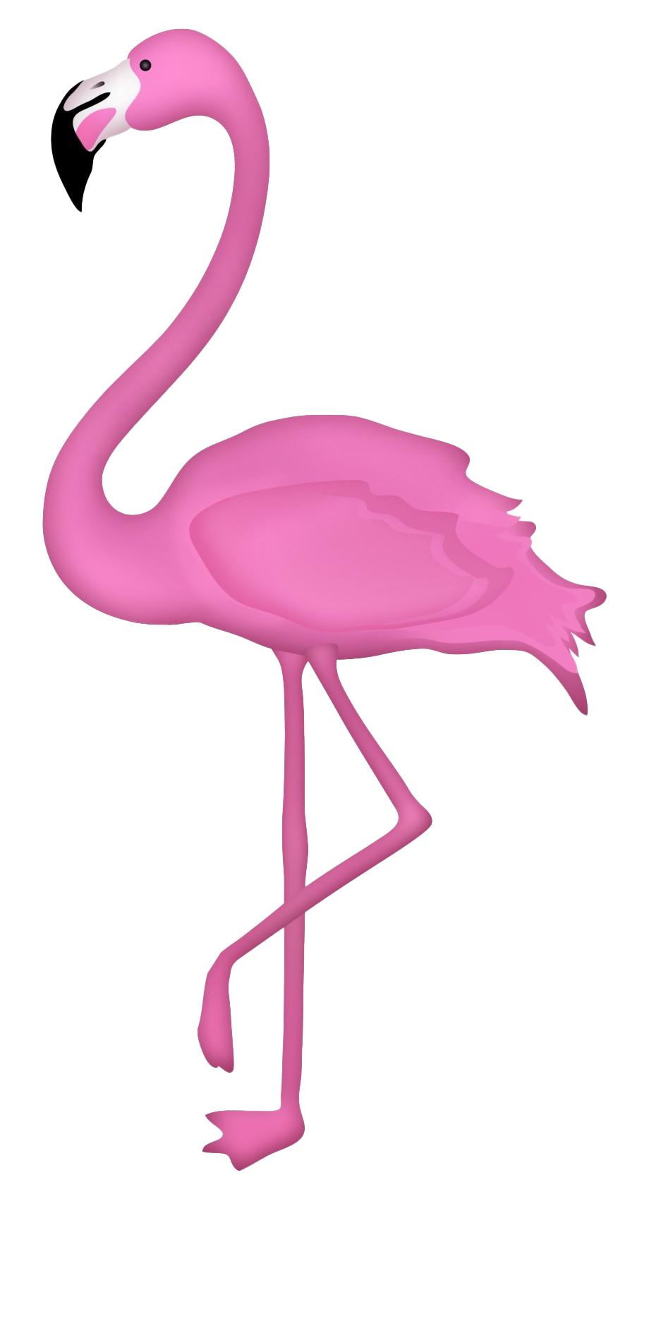 Flamingo Clipart Png 10 Free Cliparts Download Images On Clipground ...