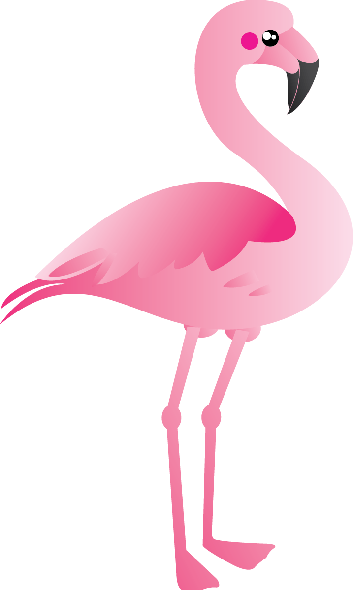 Flamingo PNG Image