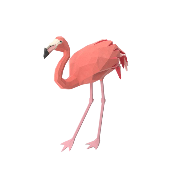 Flamingo PNG Photo