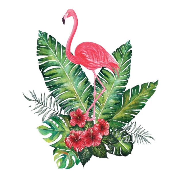 Flamingo PNG Transparent Image