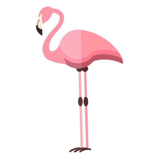 Flamingo transparente PNG