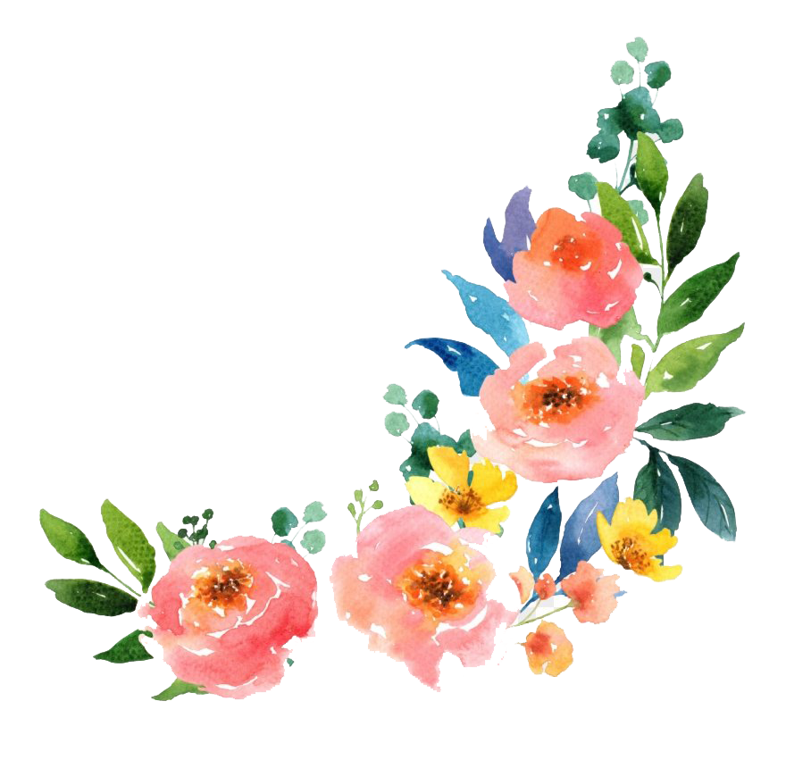 Çiçek suluboya sanat şeffaf PNG