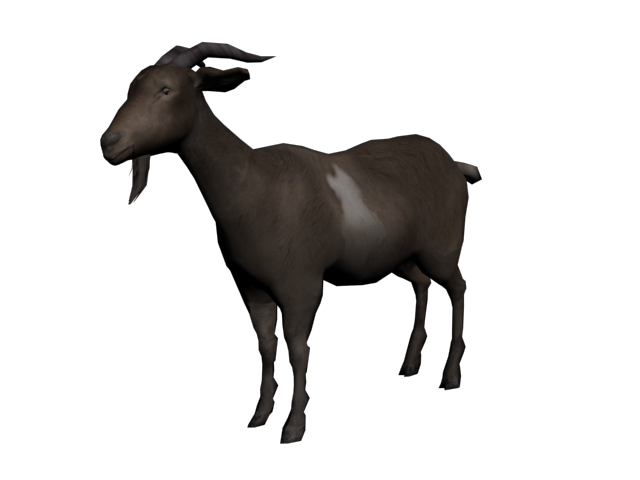 Goat PNG Pic