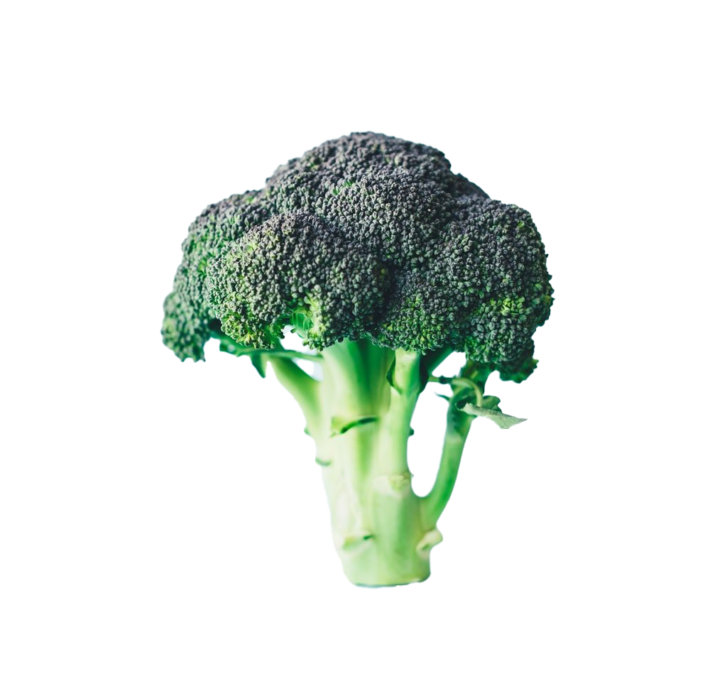 Green broccoli Background PNG
