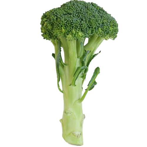 Green Broccoli PNG HD