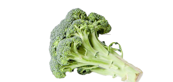 Green broccoli PNG transparent HD Photo