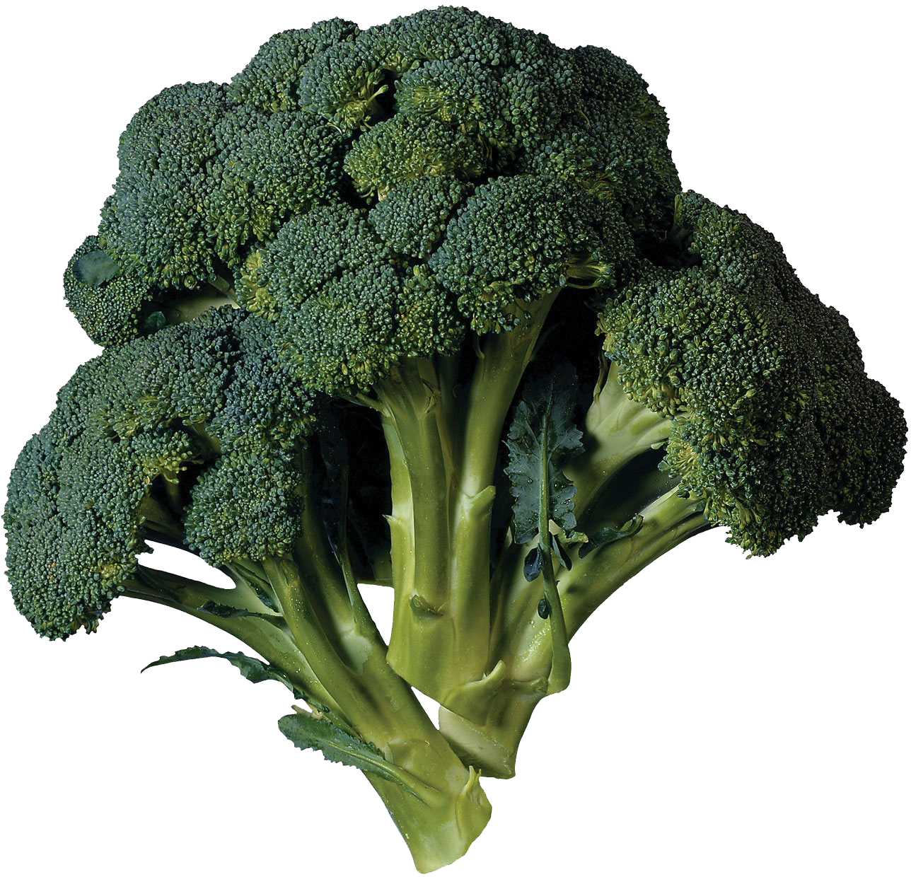 Green broccoli PNG Transparent Image