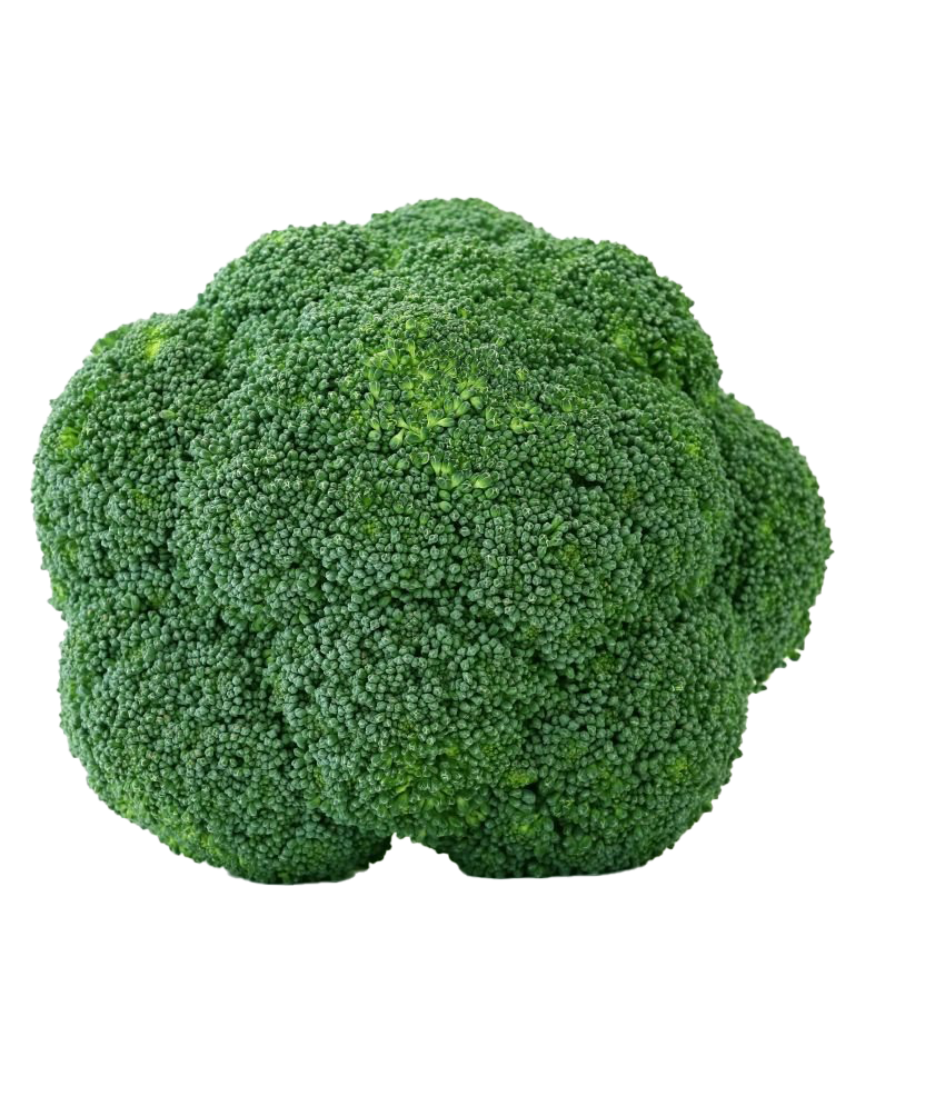 Green broccoli PNG Transparent Picture