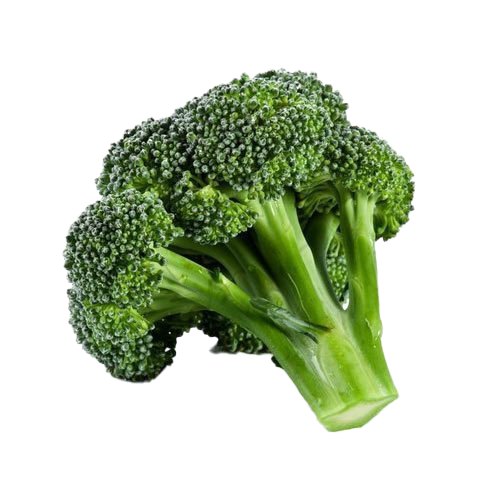 Green broccoli PNG transparent