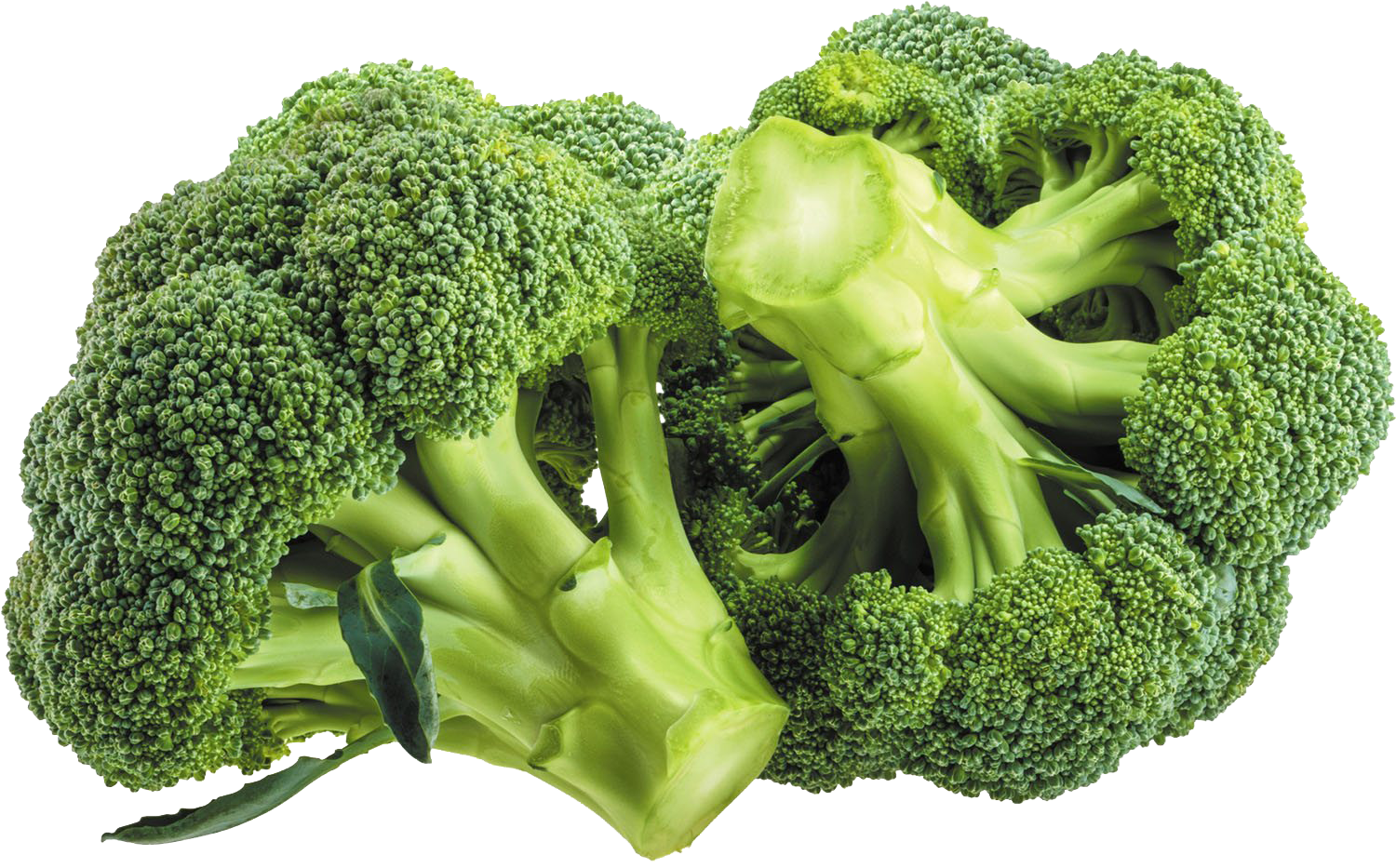 Green broccoli Transparent Images PNG