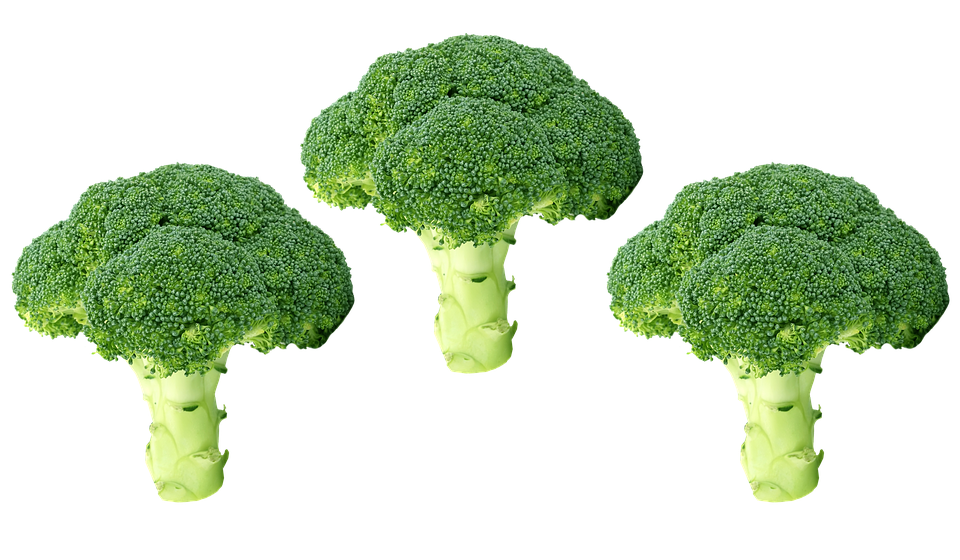Green broccoli Transparent PNG