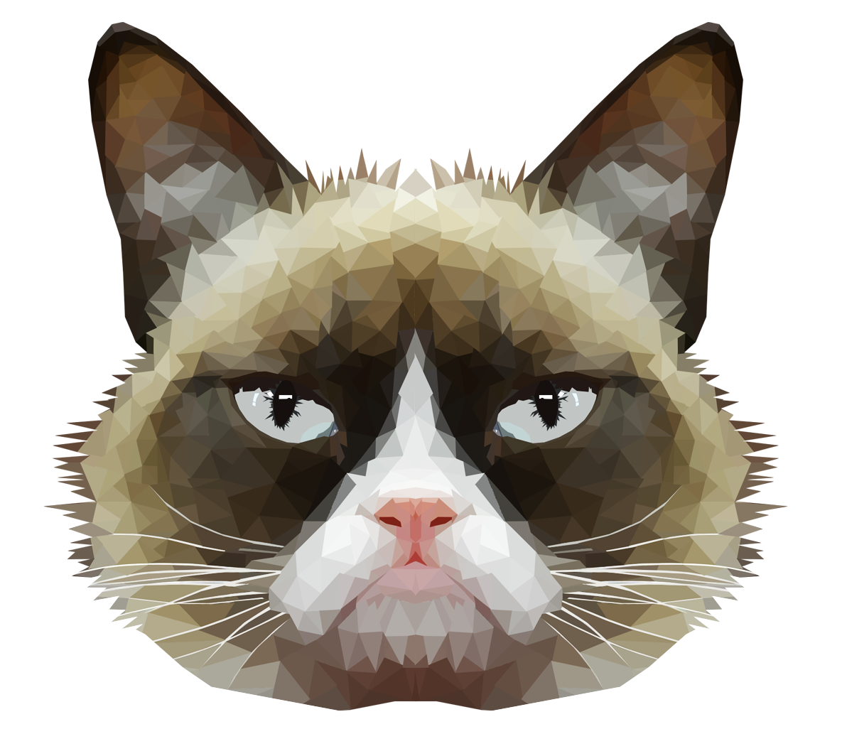 Grumpy Cat Face PNG HD
