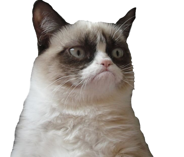 Grumpy Cat Face PNG Picture