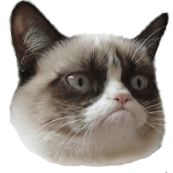 Grumpy Cat Face Transparent Background