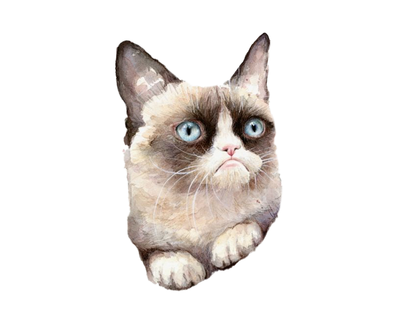 Grumpy Cat PNG Clipart