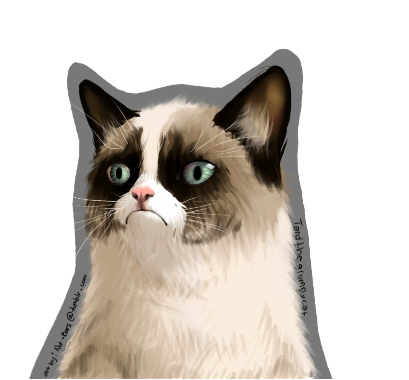 Download gratuito di Grumpy Cat PNG