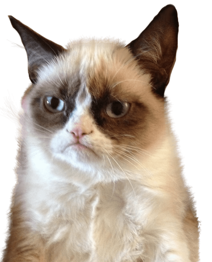 Grumpy Cat PNG HD