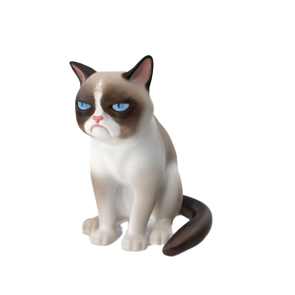 Grumpy Cat PNG Transparent Picture