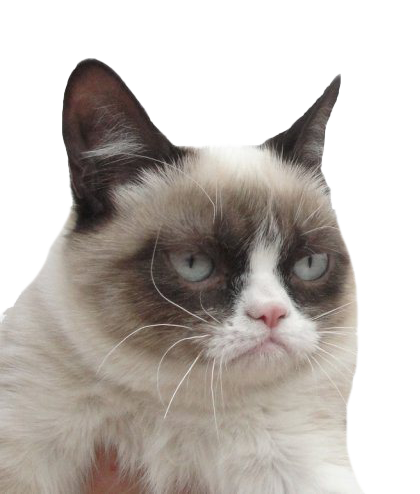 Grumpy Cat PNG Transparent