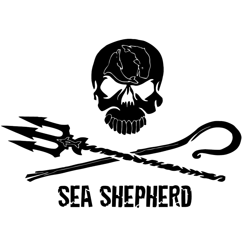 Jolly Roger Images Transparentes PNG