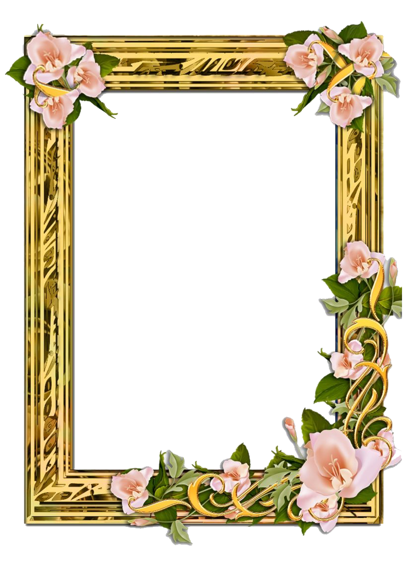 Poppy Flower Frame PNG Transparent Image