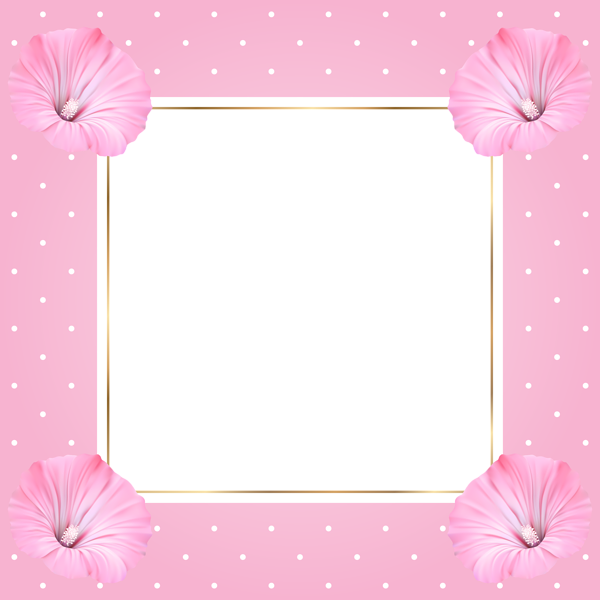 Square Pink Frame PNG File