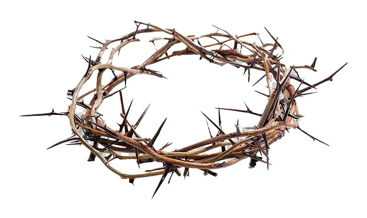 Thorns Crown PNG Picture
