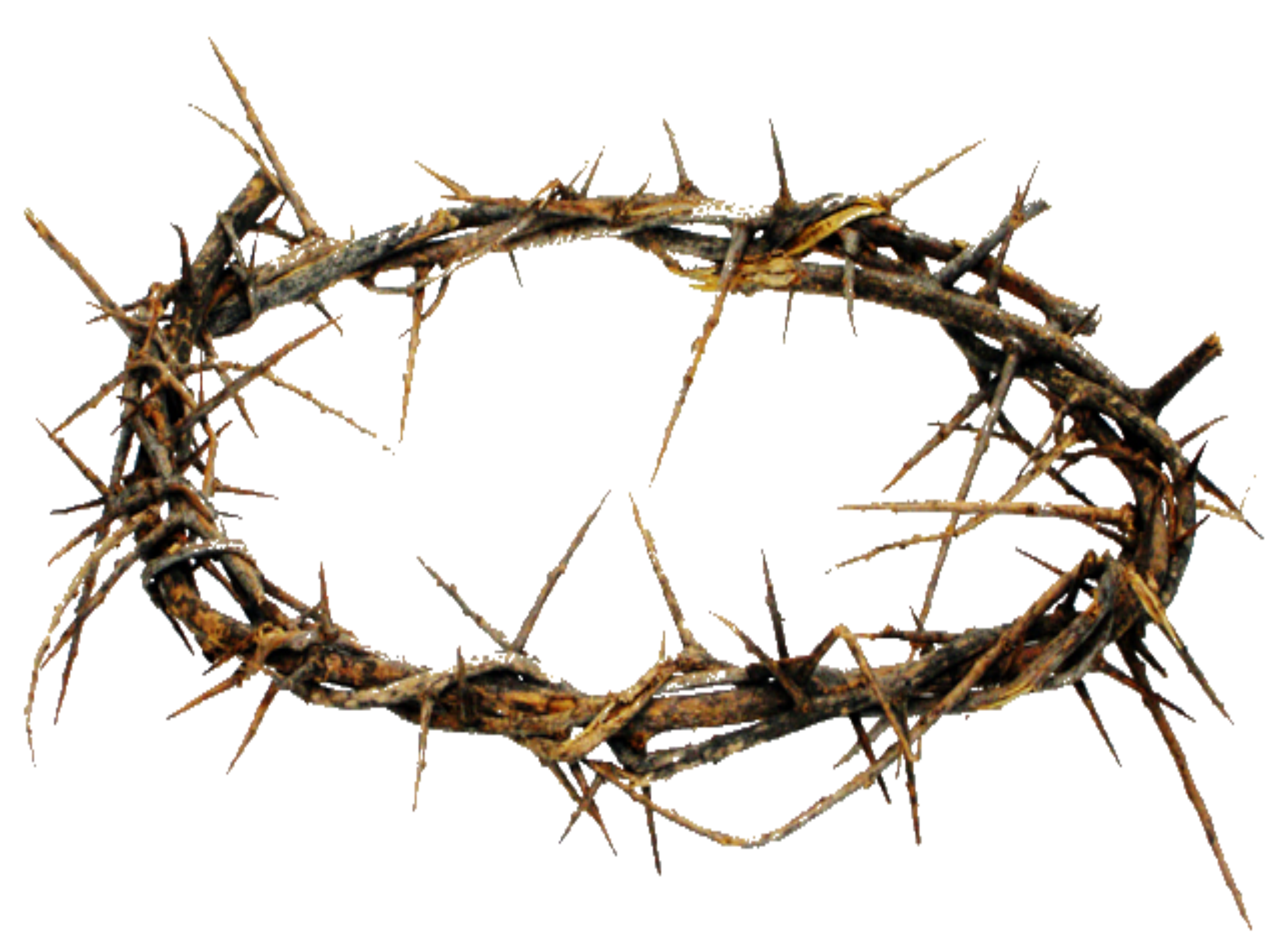 Thorns Crown Transparent PNG