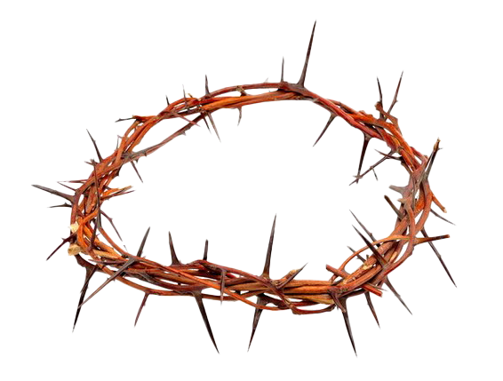 Thorns PNG File