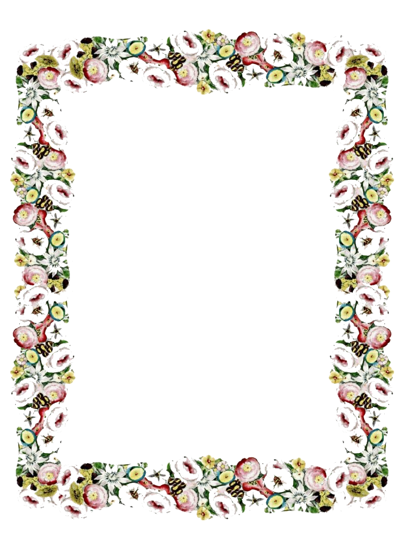 Vintage Floral Frame PNG Transparent Image