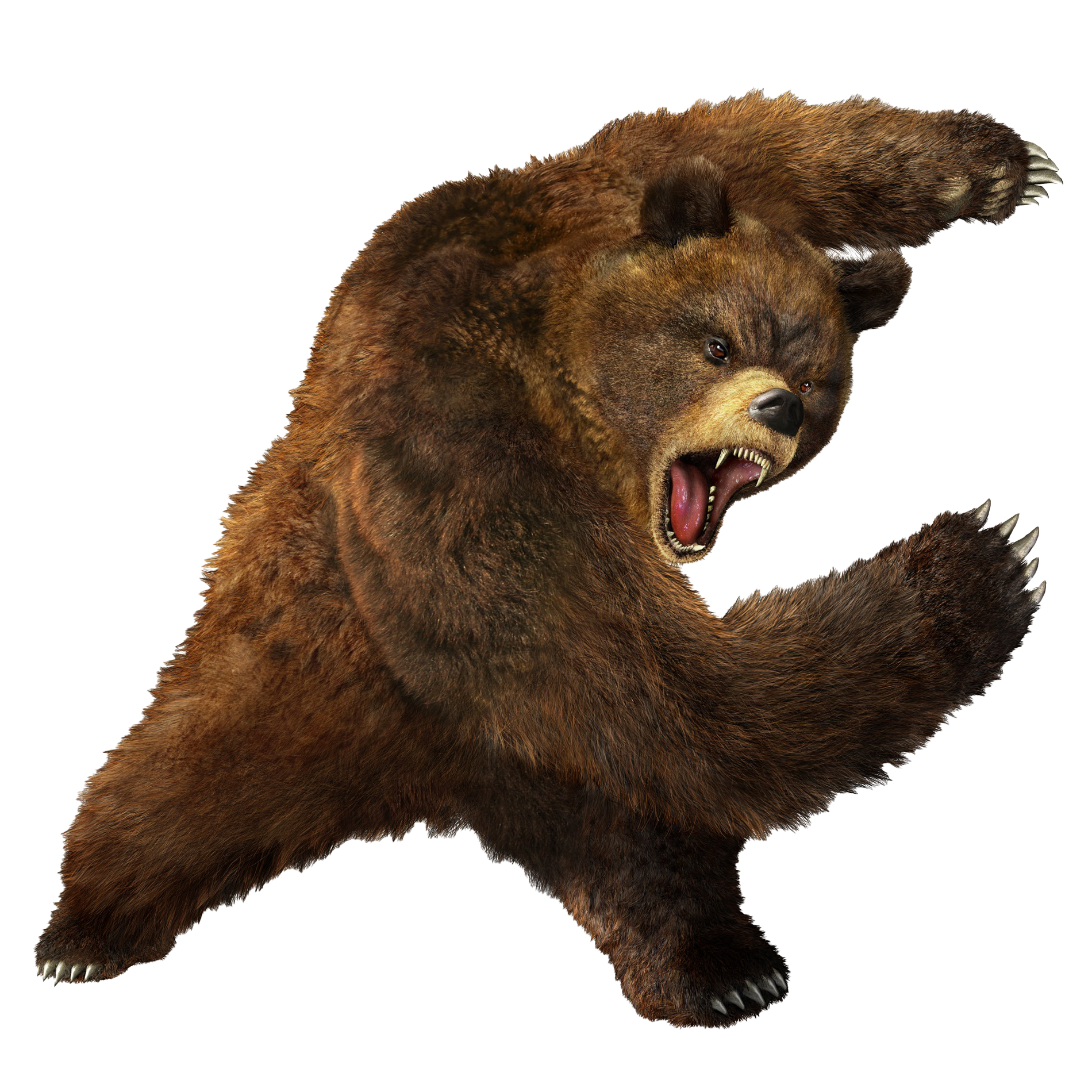 Bear Kuma Tekken PNG Free Download